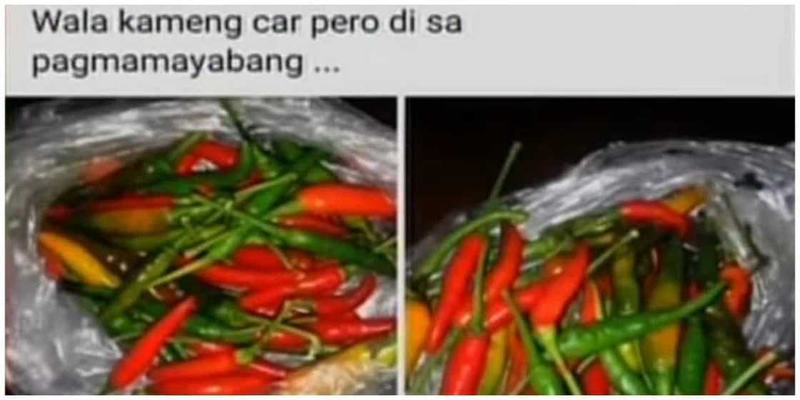 Dahil sa pagmahal ng sili, mga Noypi ginawa na itong katatawanan