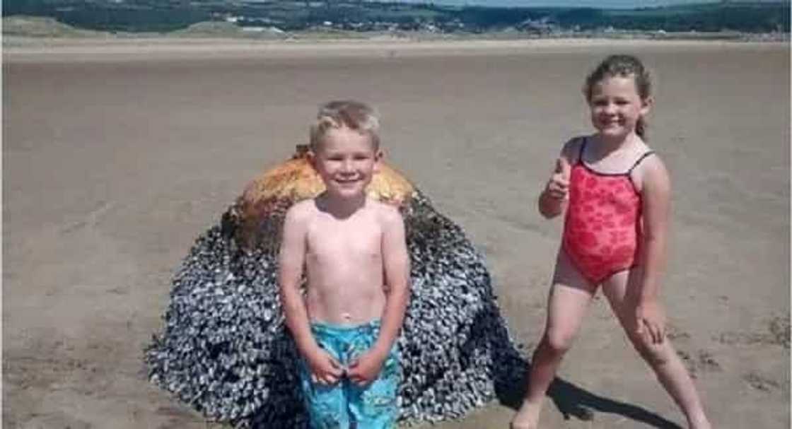 Source: Liftable Source: Liftable