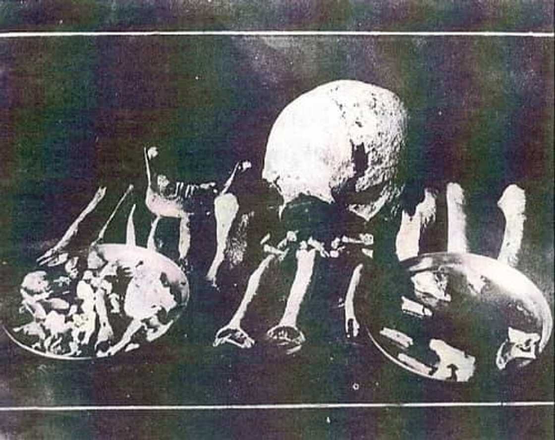 Five mysteries in the Philippines that are still unsolved Five mysteries in the Philippines that are still unsolved