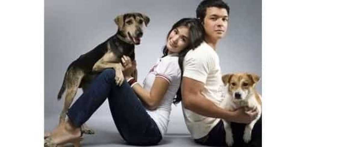 6 men who were romantically linked to Heart Evangelista before she got married to Chiz Escudero 6 men who were romantically linked to Heart Evangelista before she got married to Chiz Escudero
