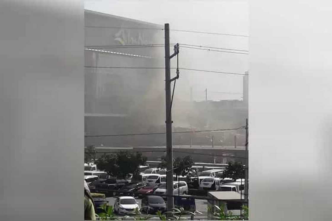trinoma trinoma