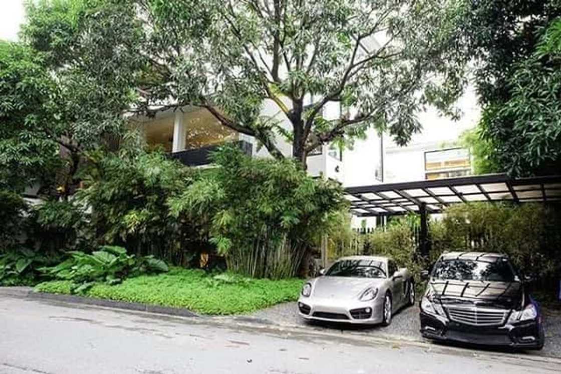 Zsa Zsa Padilla's modern Asian mansion is to die for Zsa Zsa Padilla's modern Asian mansion is to die for