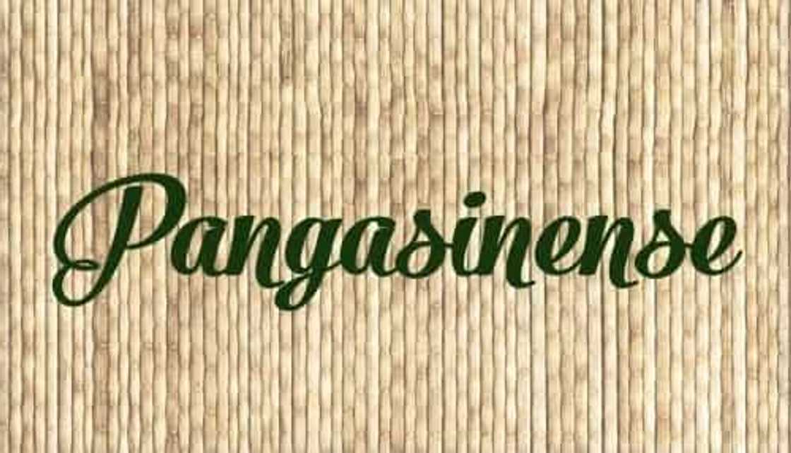 5 Philippine languages translated into common phrases 5 Philippine languages translated into common phrases