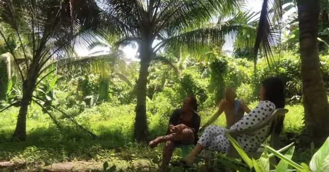 Yeng Constantino shares her simple yet superb provincial life in a vlog Yeng Constantino shares her simple yet superb provincial life in a vlog