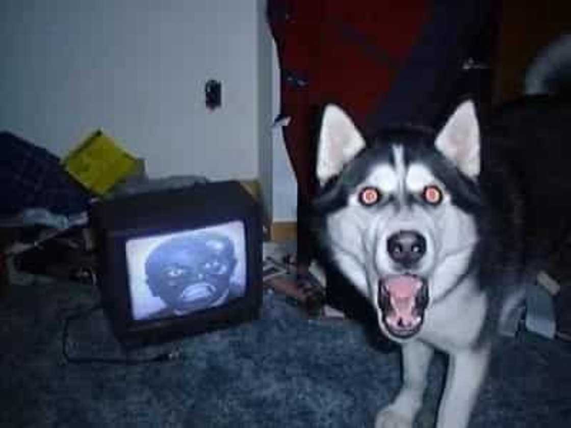 Horror stories every Filipino student's sure to have heard Horror stories every Filipino student's sure to have heard