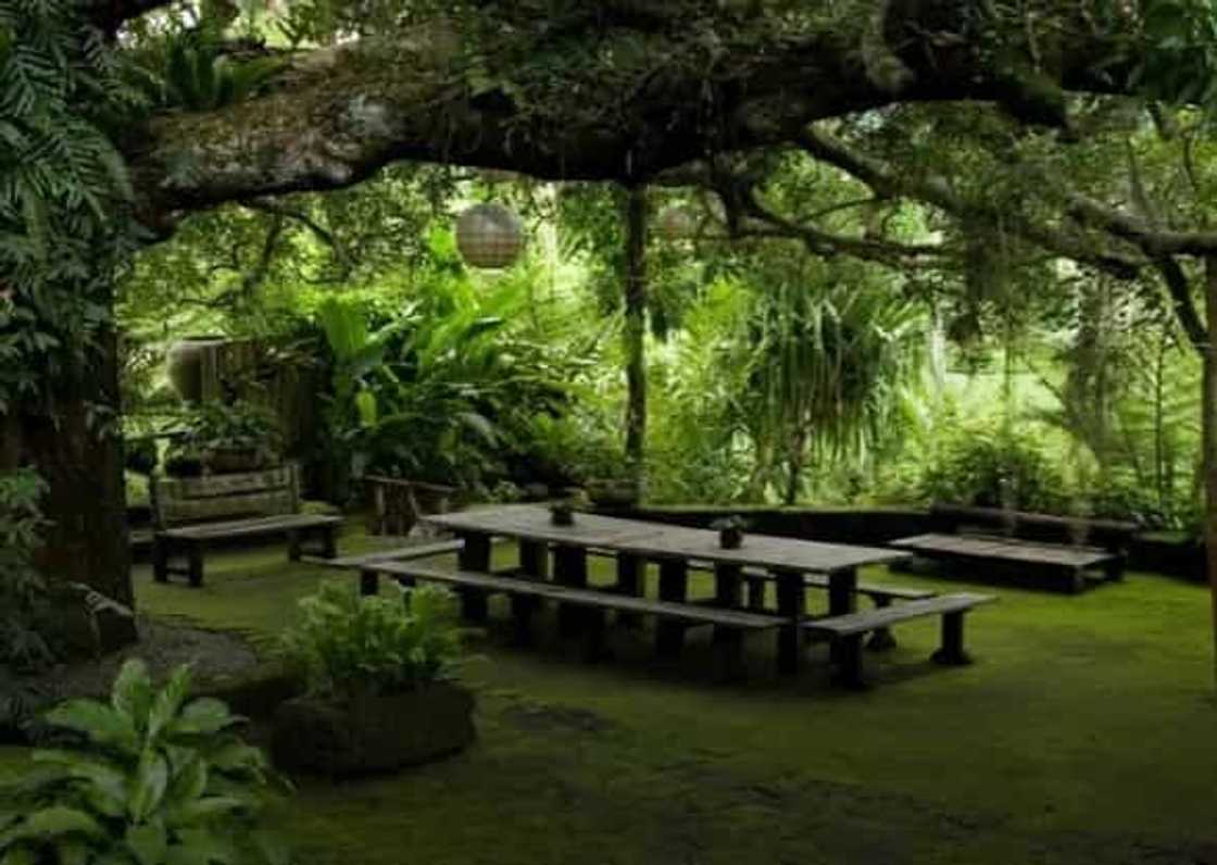 #PulotGata: Top 10 honeymoon destinations in the Philippines #PulotGata: Top 10 honeymoon destinations in the Philippines