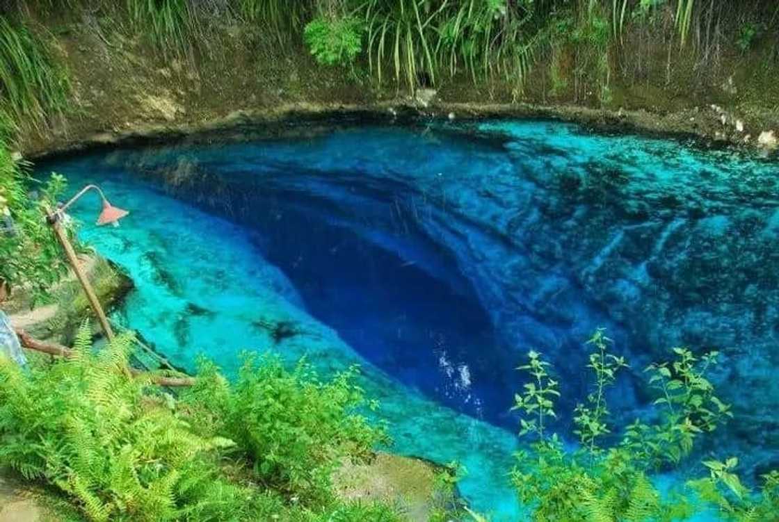 Hinatuan Enchanted River has 'feeding time' every 12pm