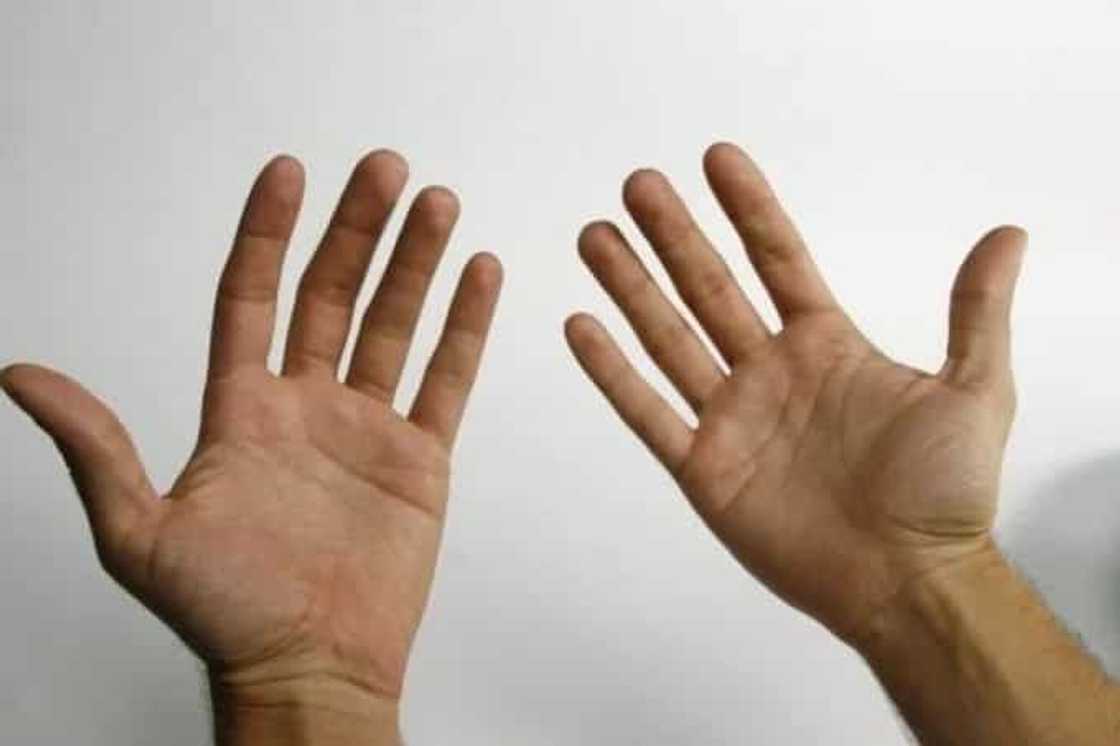 linea en la mano linea en la mano