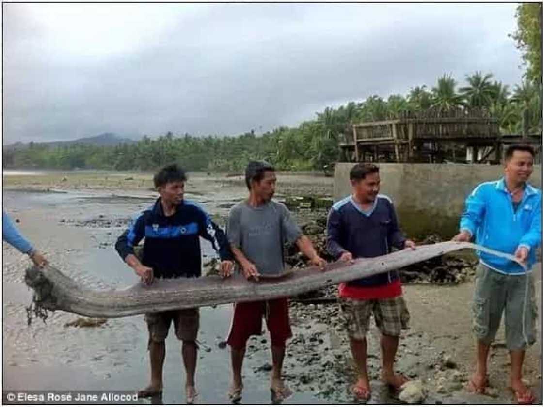 LINDOL dapat bang asahan sa PILIPINAS? Kakaibang lamang dagat na may habang 30 feet senyales daw! LINDOL dapat bang asahan sa PILIPINAS? Kakaibang lamang dagat na may habang 30 feet senyales daw!