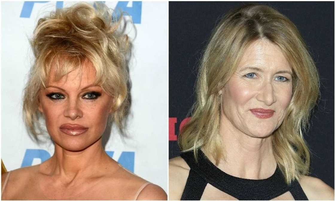 Plastic Surgery vs Natural Aging: How same-aged stars age differently Plastic Surgery vs Natural Aging: How same-aged stars age differently