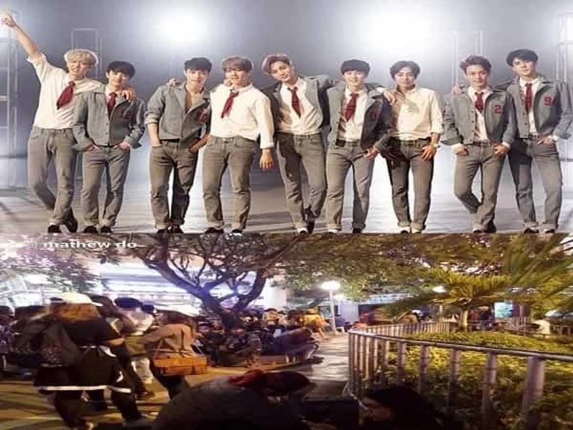 exo-concert exo-concert