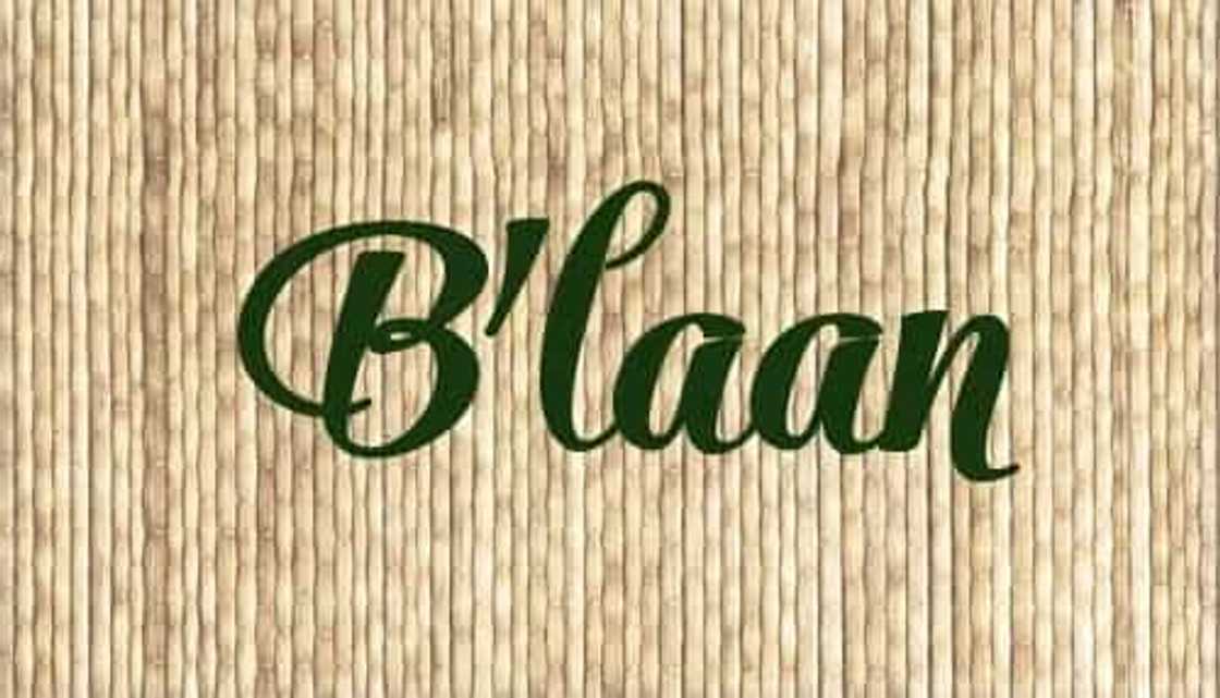 5 Philippine languages translated into common phrases 5 Philippine languages translated into common phrases
