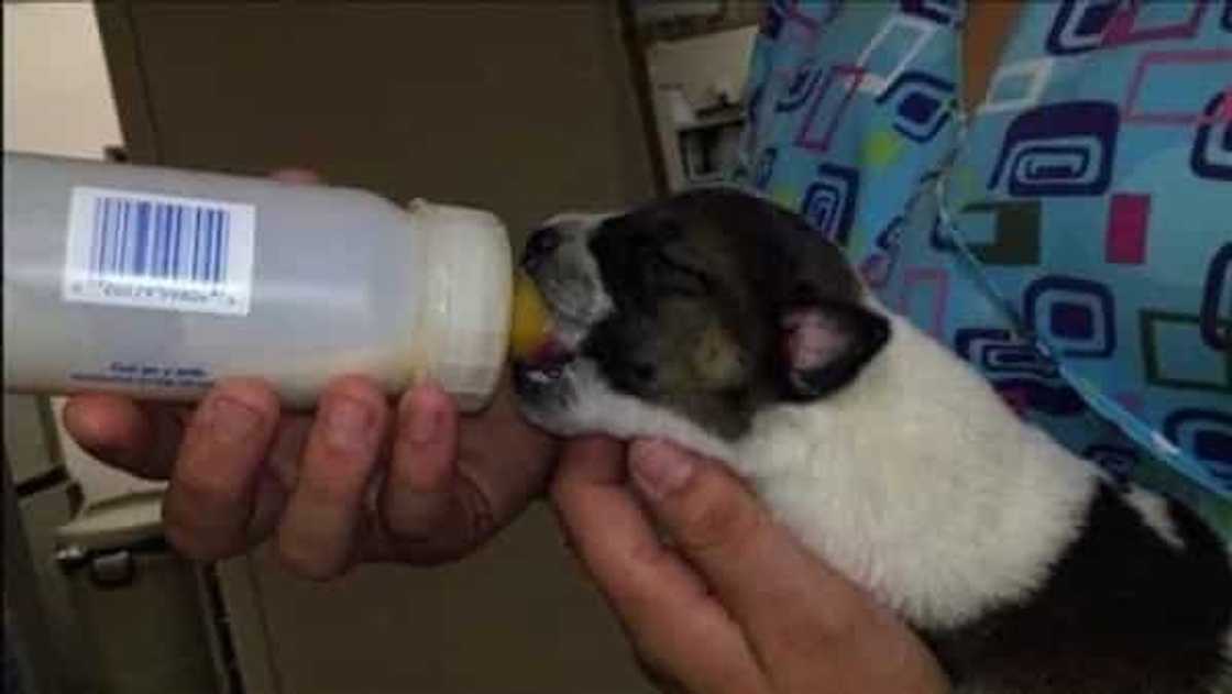 Source: Slip Talk Source: Slip Talk