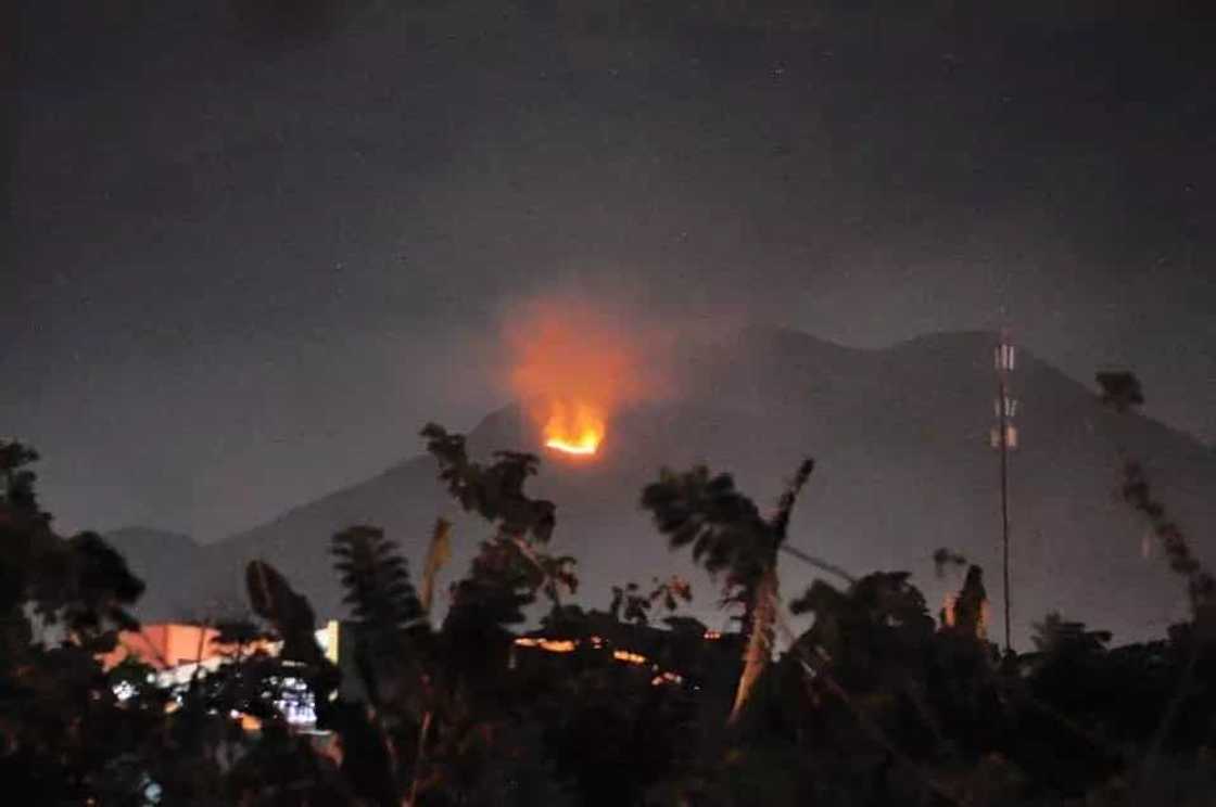 devil-mountain devil-mountain