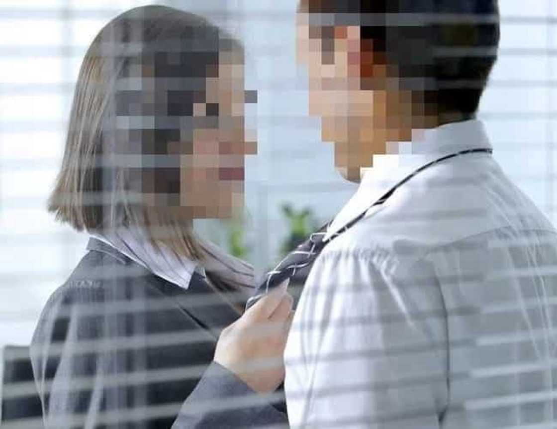 boss-affair boss-affair