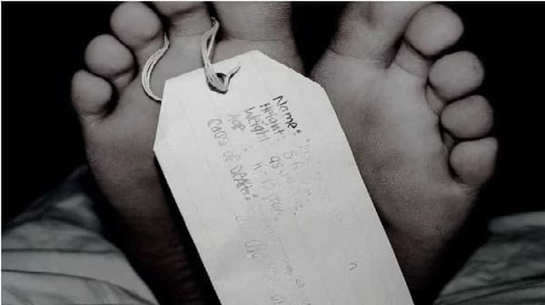 10-year-old-took-life-aunt-pranked 10-year-old-took-life-aunt-pranked