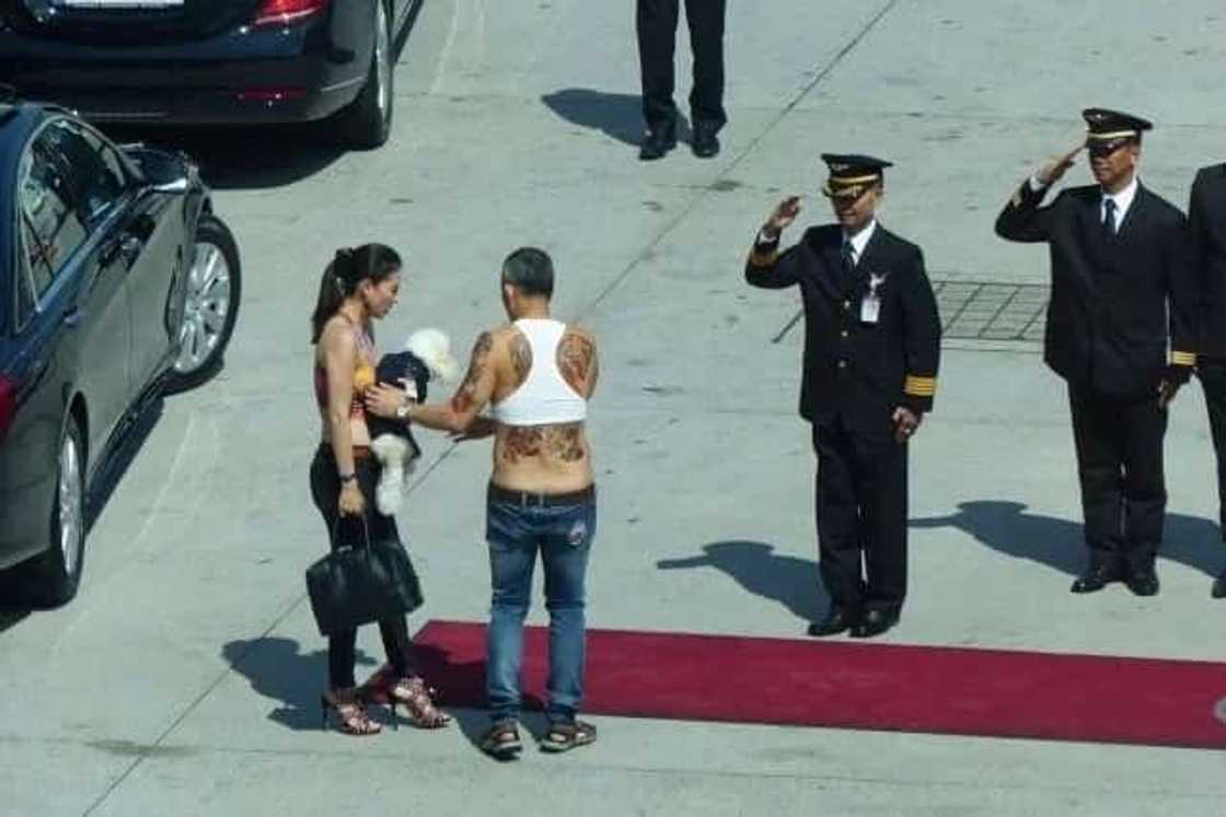 Thailand Welcomes Weird New King Who Likes Crop Tops And Tiny Dogs Thailand Welcomes Weird New King Who Likes Crop Tops And Tiny Dogs