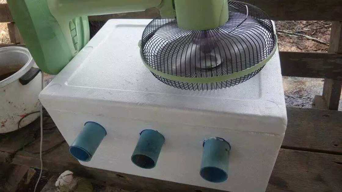 Only in the Philippines: How Filipinos Deal With Summer Heat Only in the Philippines: How Filipinos Deal With Summer Heat