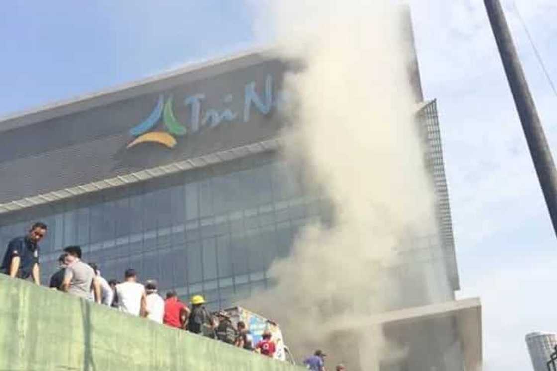 trinoma trinoma