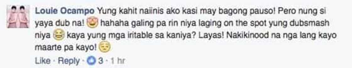 maine-papp maine-papp