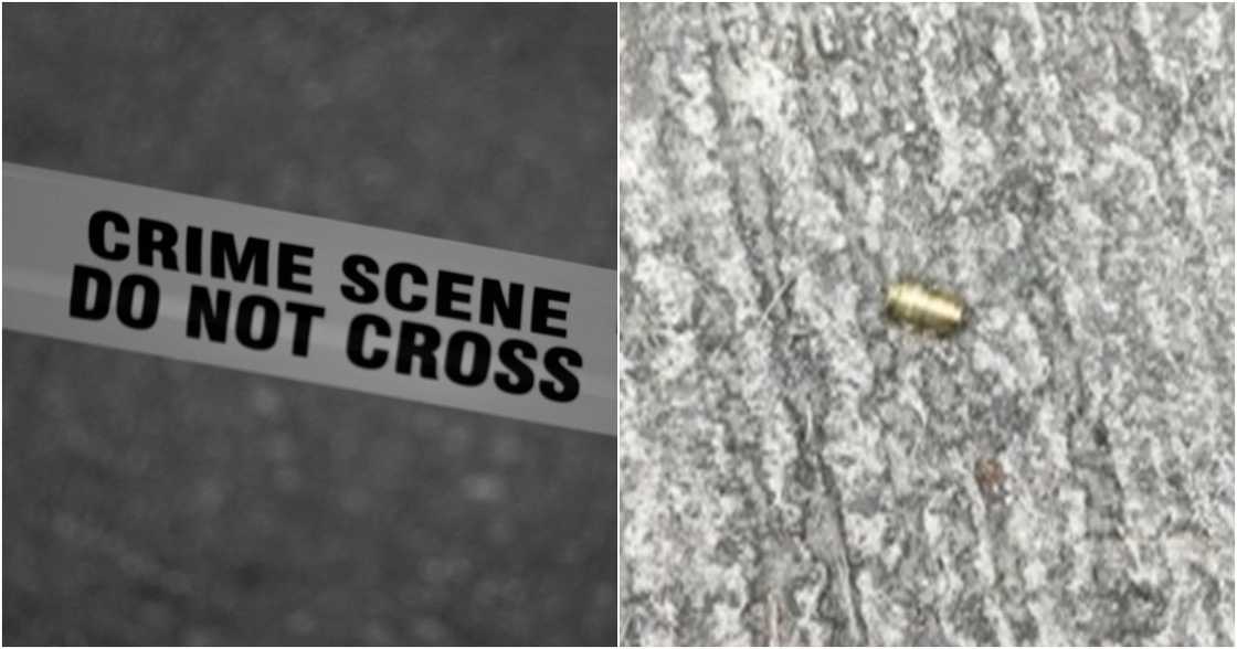 Mark D'aiuto on Pexels
Frontline Pilipinas/TV 5/News5Everywhere on YouTube Mark D'aiuto on Pexels
Frontline Pilipinas/TV 5/News5Everywhere on YouTube