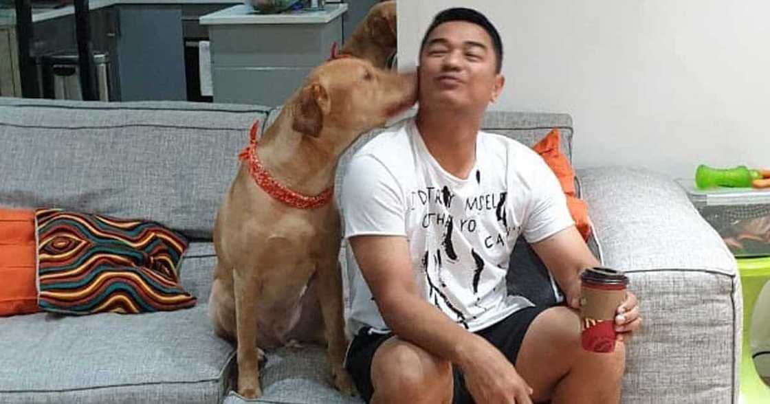 Ariel Rivera, di pala gusto ang kanyang label na ‘Kilabot ng mga Kolehiyala’: “It was so presumptuous of me” Ariel Rivera, di pala gusto ang kanyang label na ‘Kilabot ng mga Kolehiyala’: “It was so presumptuous of me”