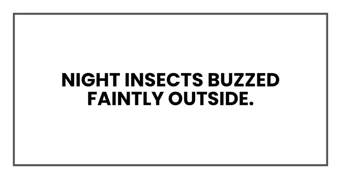 NIGHT INSECTS BUZZED FAINTLY OUTSIDE