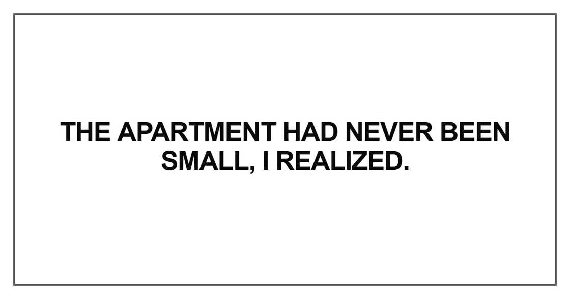 The apartment had never been small, I realized