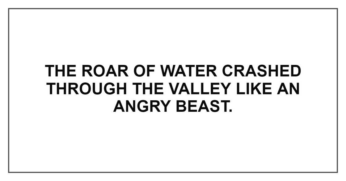 THE ROAR OF WATER CRASHED