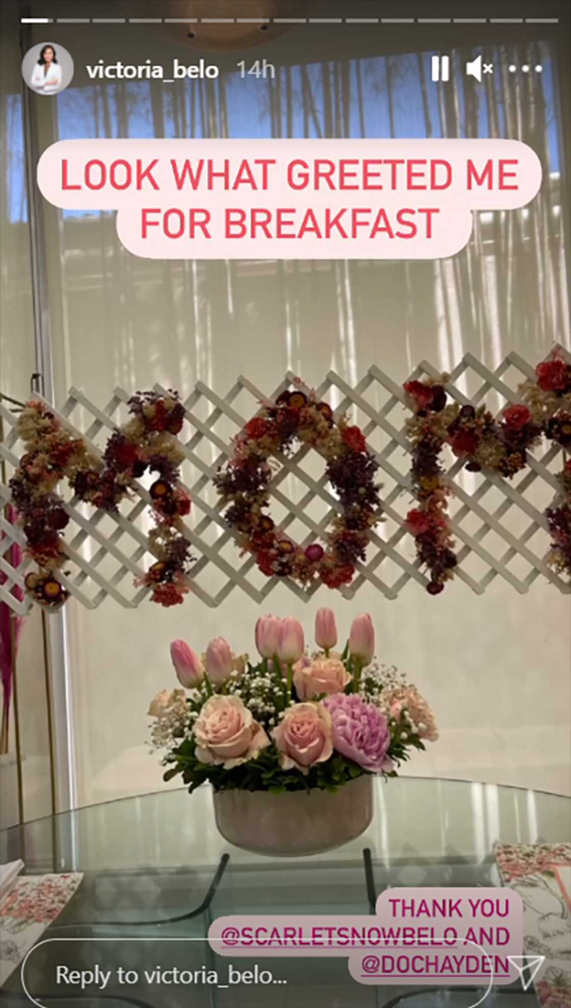 Vicki Belo shows off Scarlet Snow and Hayden Kho surprise for Mother's Day Vicki Belo shows off Scarlet Snow and Hayden Kho surprise for Mother's Day