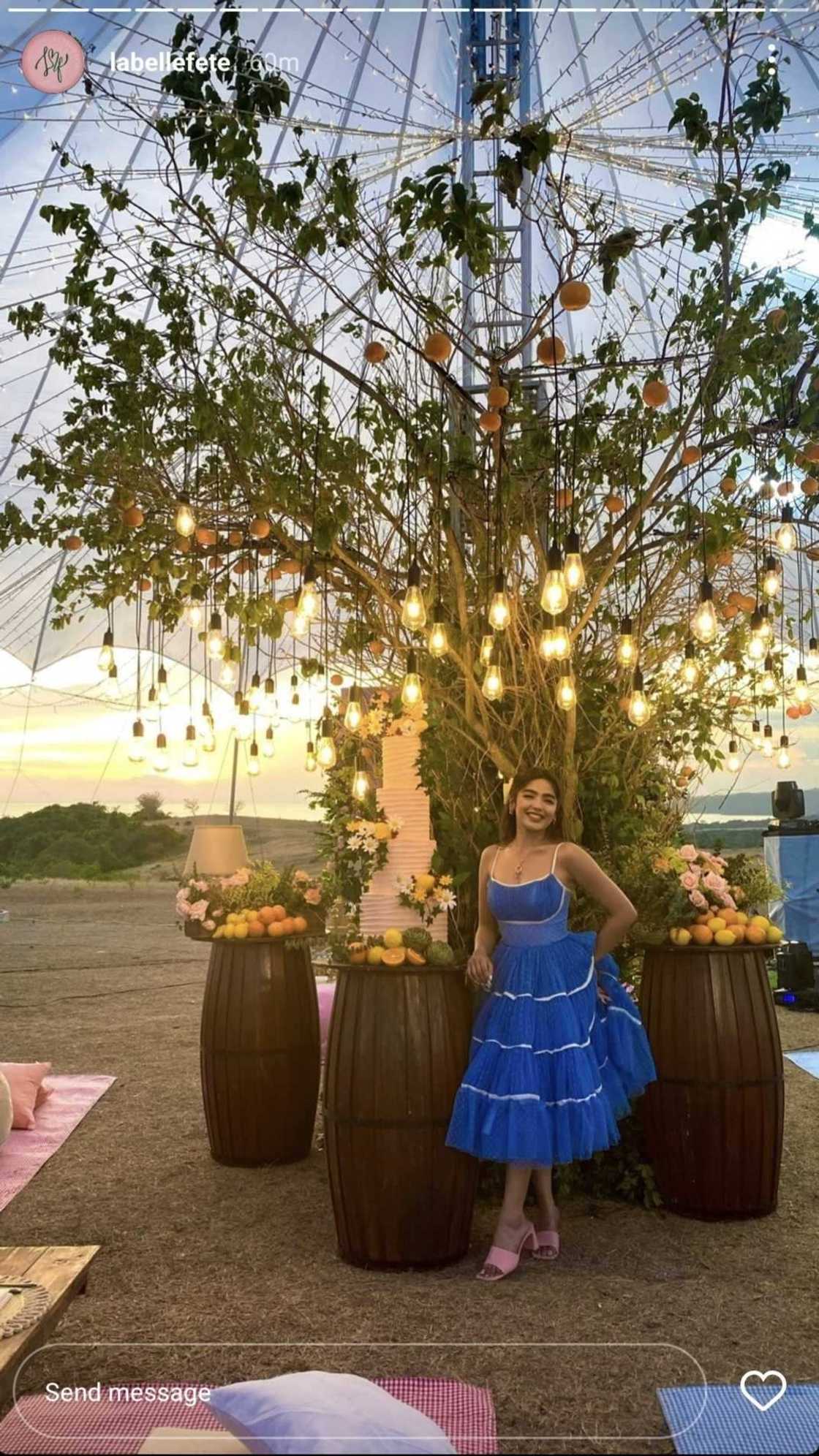 Pictures from Andrea Brillantes' birthday picnic celebration go viral Pictures from Andrea Brillantes' birthday picnic celebration go viral