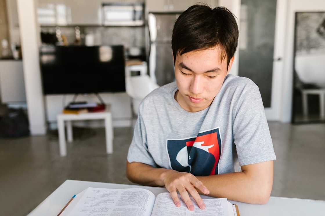 A teenager concentrates on homework at home. A teenager concentrates on homework at home.