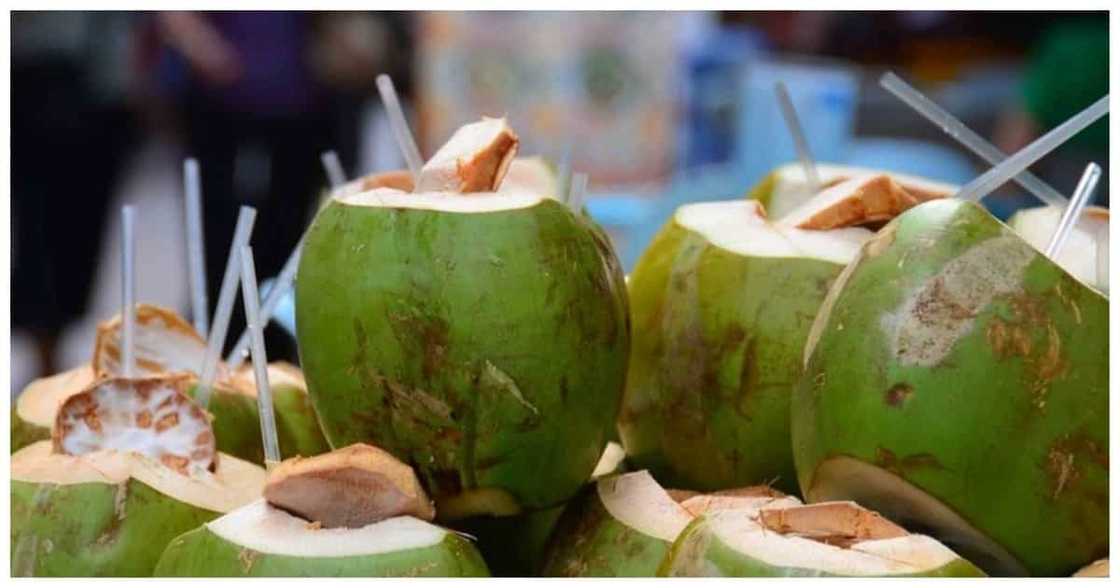 Biker, nagulat nang ilibre siya ng buko juice ng nakatabing bata habang nagpapahinga Biker, nagulat nang ilibre siya ng buko juice ng nakatabing bata habang nagpapahinga