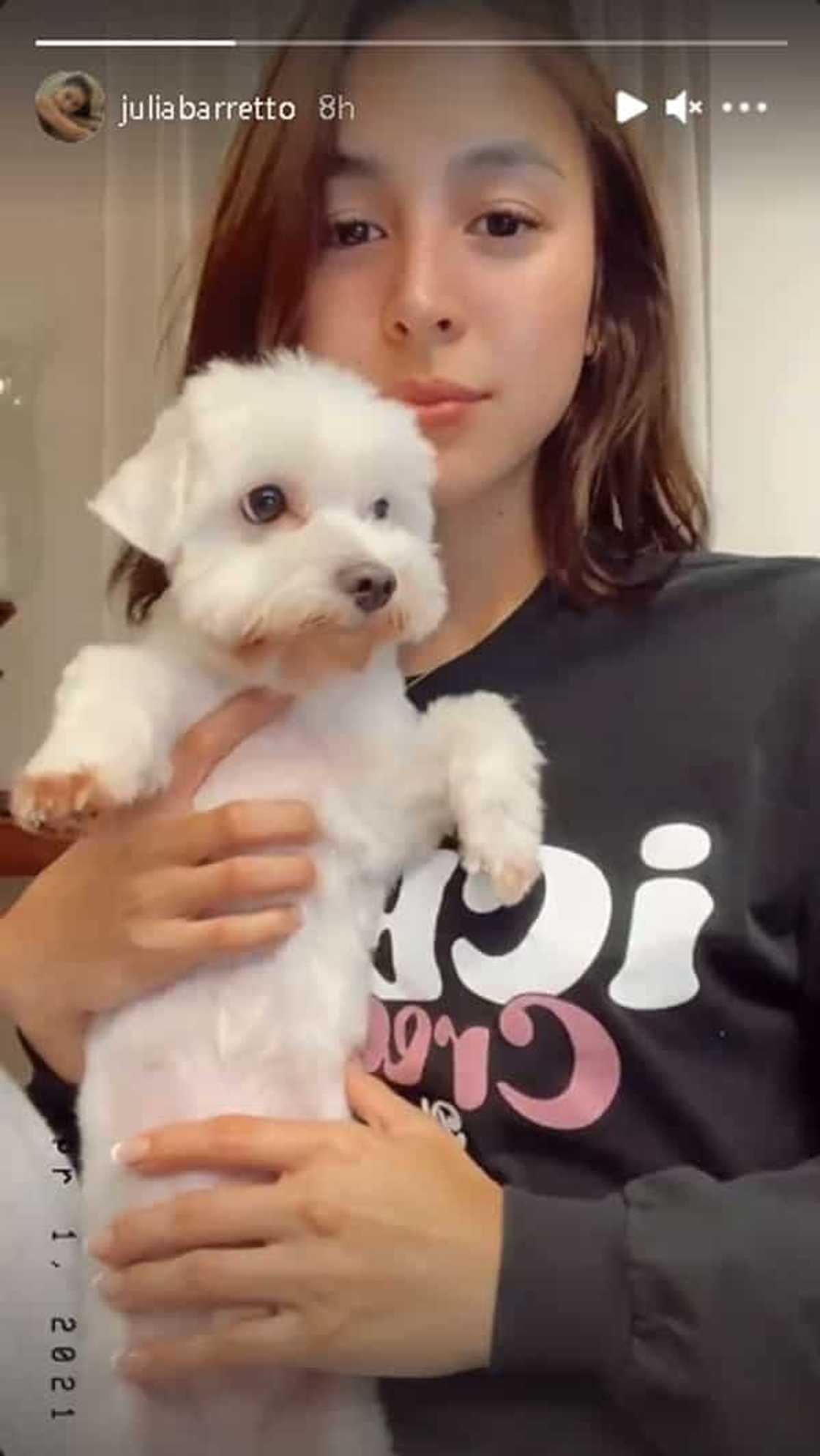 Video of puffy-eyed Julia Barretto hugging her dog goes viral amid Gerald and Yam's "maiinit" scenes Video of puffy-eyed Julia Barretto hugging her dog goes viral amid Gerald and Yam's "maiinit" scenes