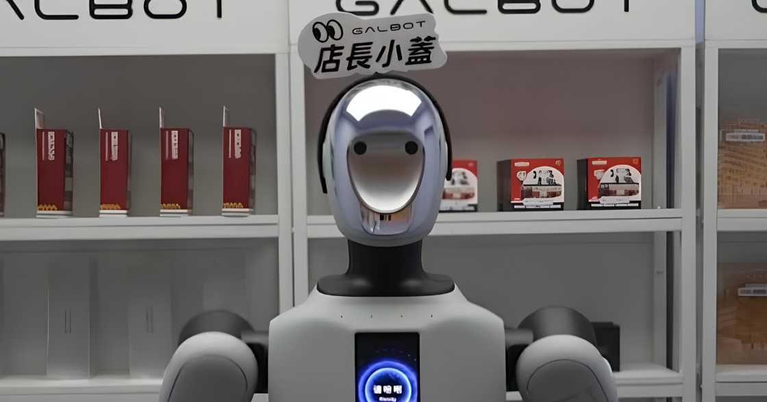 Humanoid robot
