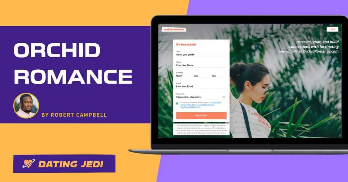 Orchid romance review Orchid romance review