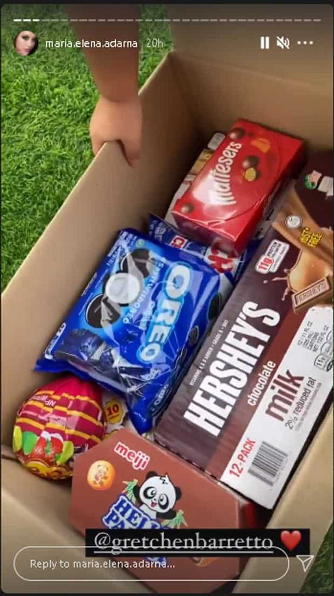 Ellen Adarna, ibinida ang padalang Pasko box ni Gretchen Barretto: “BER month na talaga!” Ellen Adarna, ibinida ang padalang Pasko box ni Gretchen Barretto: “BER month na talaga!”