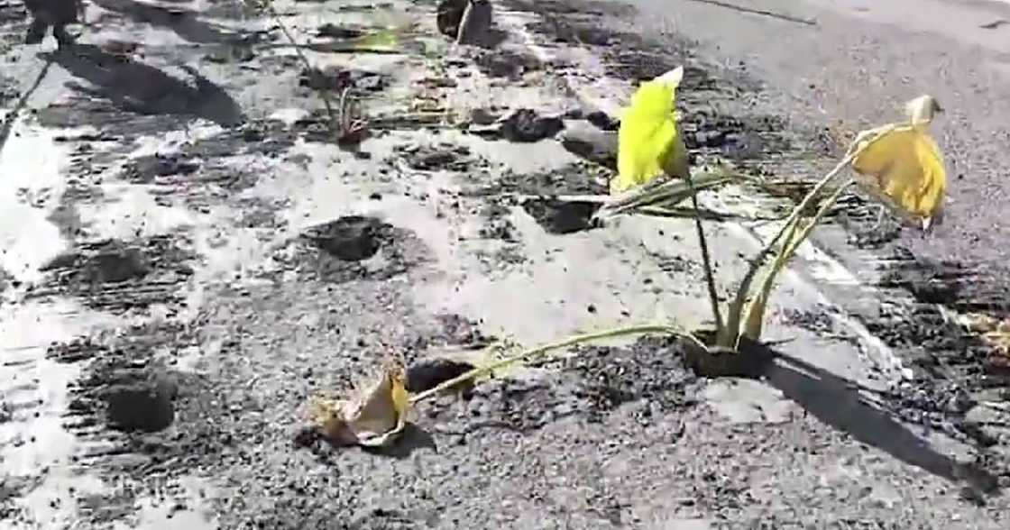 Photo: Screengrab from Brigada News Philippines Photo: Screengrab from Brigada News Philippines