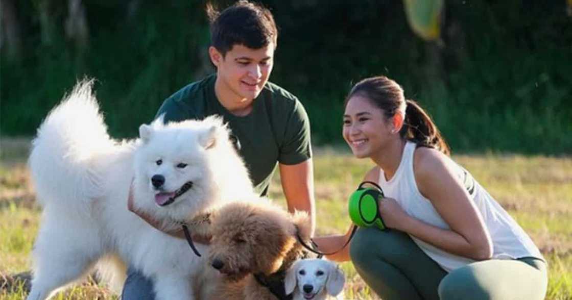 Matteo Guidicelli greets wife Sarah Geronimo on her 19th year in show business Matteo Guidicelli greets wife Sarah Geronimo on her 19th year in show business