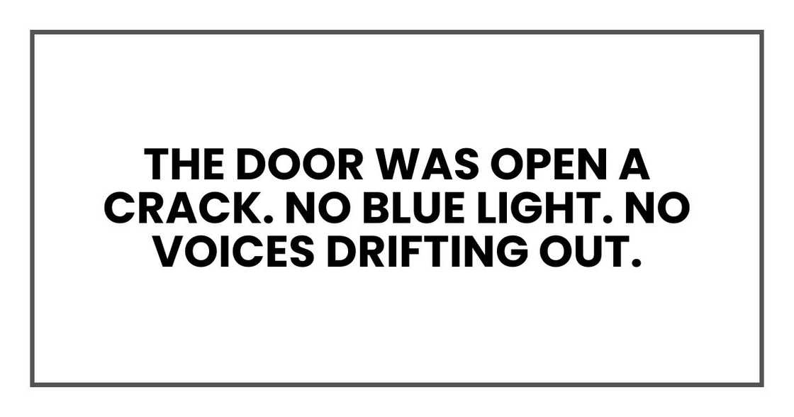 The door was open a crack. No blue light. No voices drifting out. The door was open a crack. No blue light. No voices drifting out.