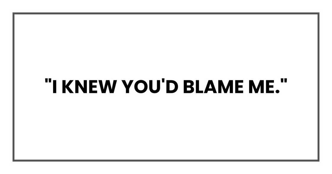 "I knew you'd blame me." "I knew you'd blame me."