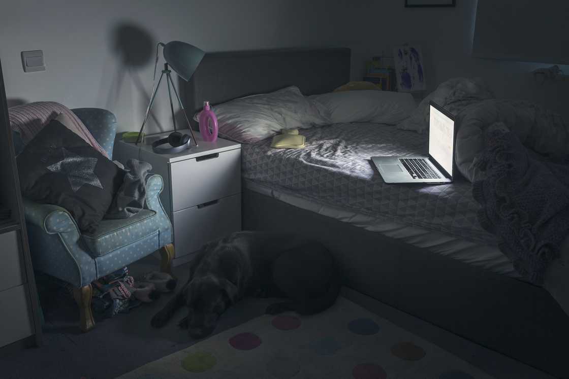 Dimly lit bedroom with an open laptop on a bed and a dog resting on the floor.