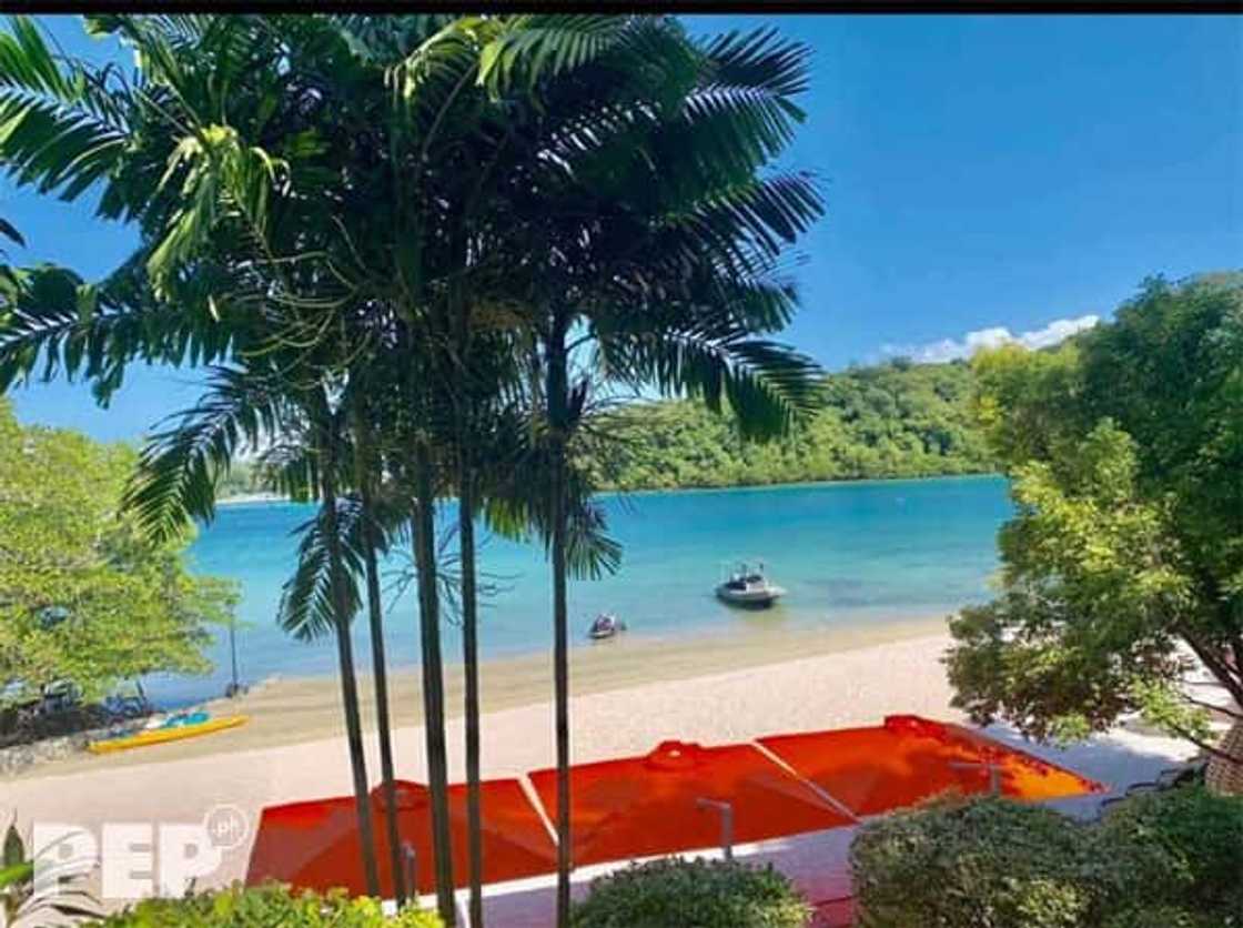 Sobrang yaman talaga! Willie Revillame, bumili ng mala-Amanpulo beach resort sa Puerto Galera Sobrang yaman talaga! Willie Revillame, bumili ng mala-Amanpulo beach resort sa Puerto Galera