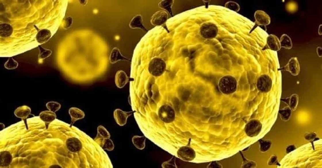 Coronavirus, makakahawa sa tao higit 6-feet ang layo, ayon sa mga eksperto Coronavirus, makakahawa sa tao higit 6-feet ang layo, ayon sa mga eksperto