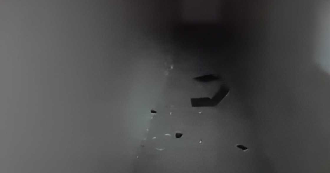 Photo: Screengrab from TV Patrol Photo: Screengrab from TV Patrol