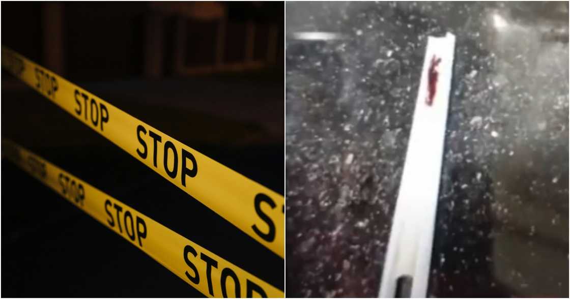 cottonbro studio on Pexels
SAKSI/GMA-7/GMA Integrated News on YouTube cottonbro studio on Pexels
SAKSI/GMA-7/GMA Integrated News on YouTube