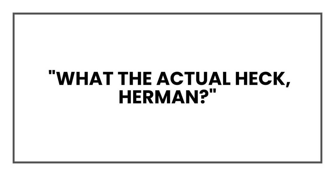 "What the actual heck, Herman?"