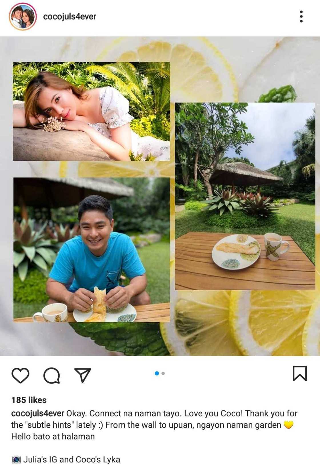 CocoJul fan account posts several similar garden photos of Julia Montes, Coco Martin CocoJul fan account posts several similar garden photos of Julia Montes, Coco Martin