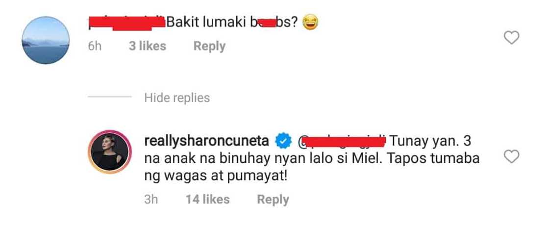 Sharon Cuneta lectures netizen who doubted her body transformation