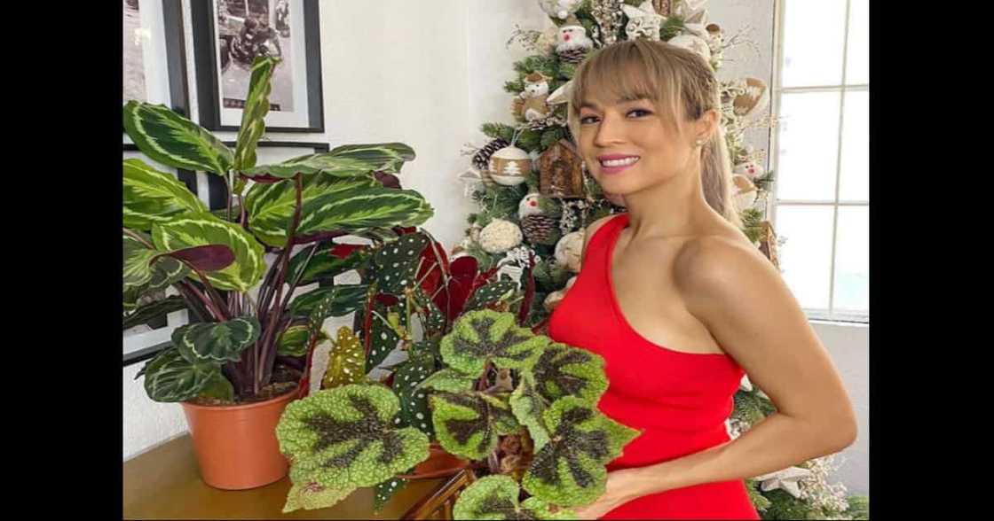 Aubrey Miles flaunts new investment made from selling plants Aubrey Miles flaunts new investment made from selling plants